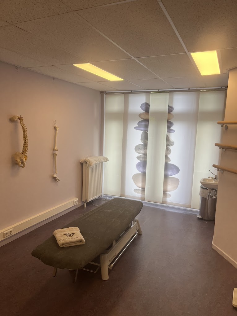 bekkenfysio den haag